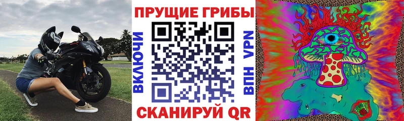 купить закладку  Яровое  Псилоцибиновые грибы мухоморы 